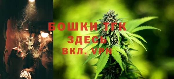молекула духа Горно-Алтайск