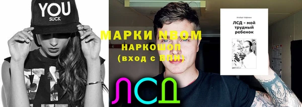 молекула духа Горно-Алтайск