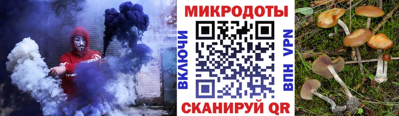 где купить   Заинск  Псилоцибиновые грибы MAGIC MUSHROOMS 
